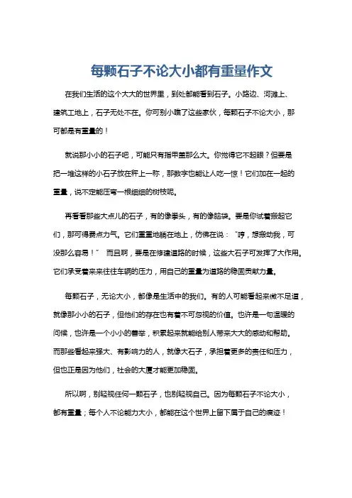 每颗石子不论大小都有重量作文