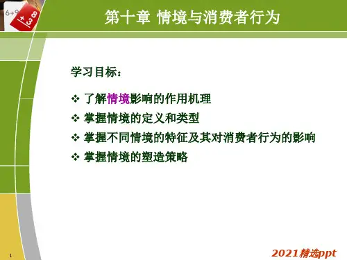 情境与消费者行为ppt课件