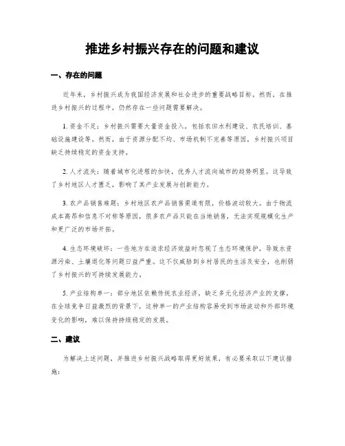 推进乡村振兴存在的问题和建议