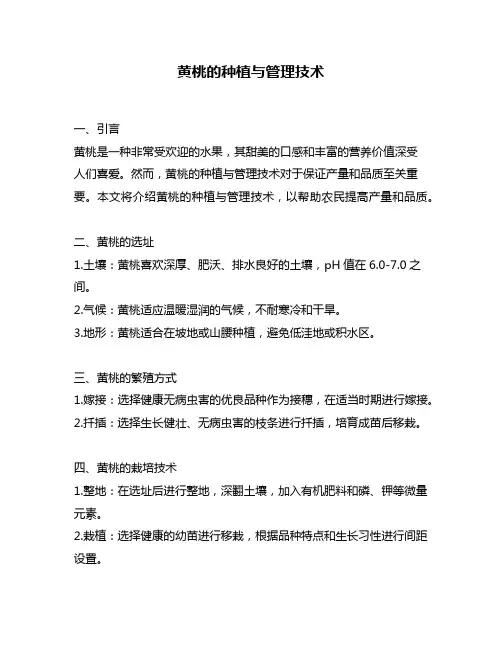 黄桃的种植与管理技术