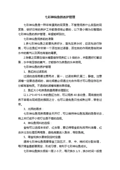 七彩神仙鱼的养护管理