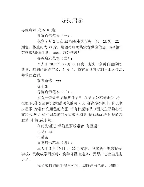 寻狗启示