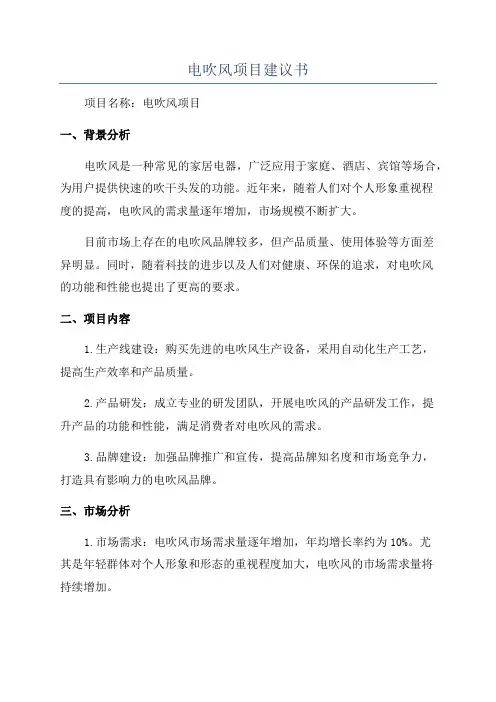 电吹风项目建议书