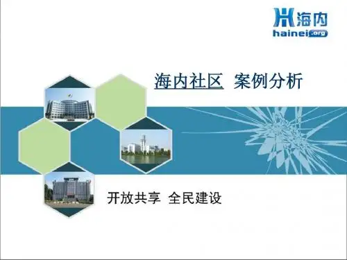虚拟社区模式案例分析-以社区海内为例