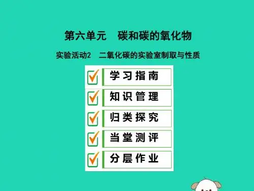 2019年秋九年级化学上册第六单元碳和碳的氧化物实验活动2二氧化碳的实验室制取与性质课件人教版