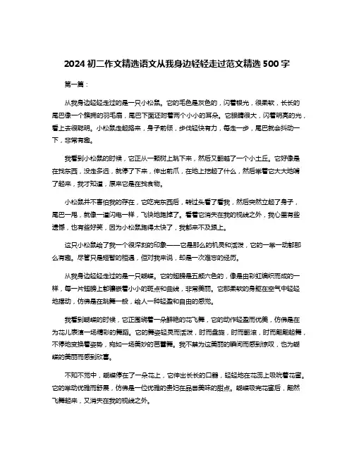 2024初二作文精选语文从我身边轻轻走过范文精选500字