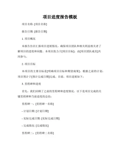 项目进度报告模板