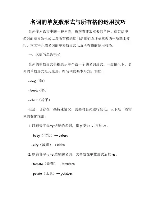 名词的单复数形式与所有格的运用技巧