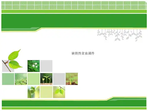 缺铁性贫血课件