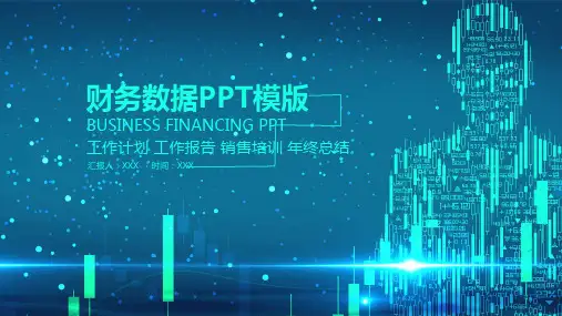 财务数据分析ppt模板