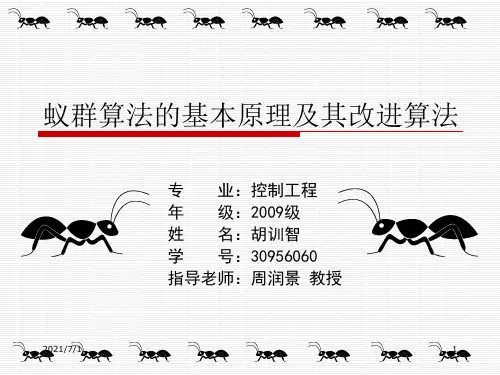 蚁群算法PPT课件