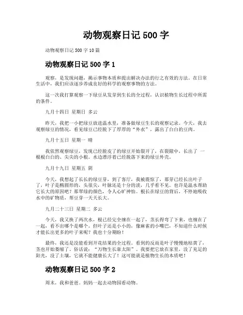 动物观察日记500字