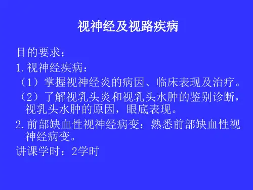 眼科学课件：视神经及视路疾病