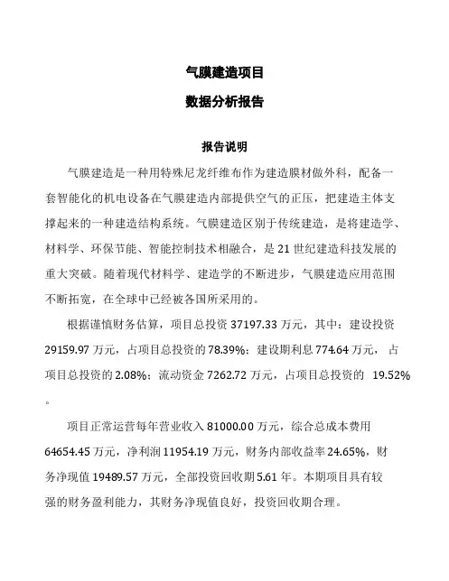 气膜建筑项目数据分析报告