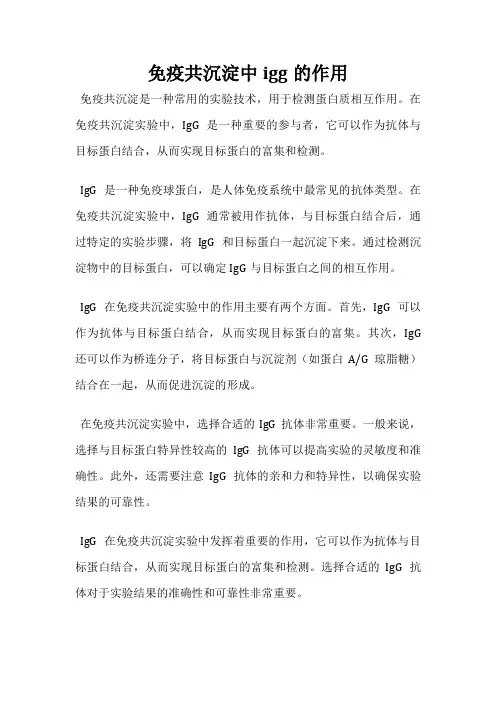免疫共沉淀中igg的作用
