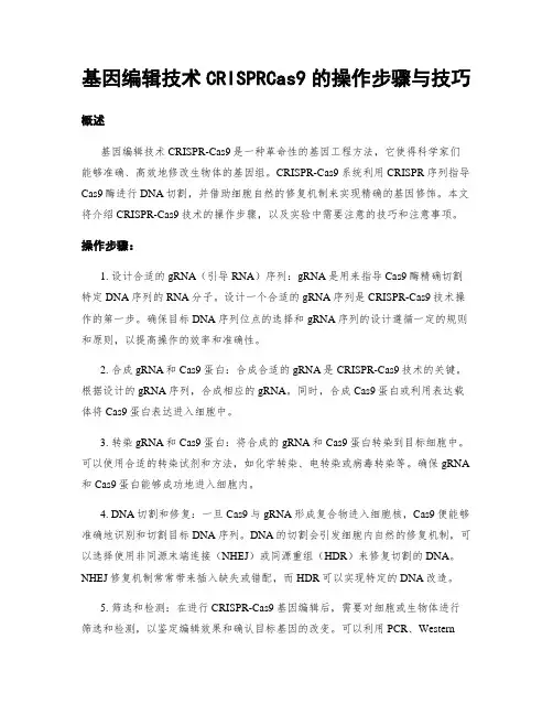 基因编辑技术CRISPRCas9的操作步骤与技巧