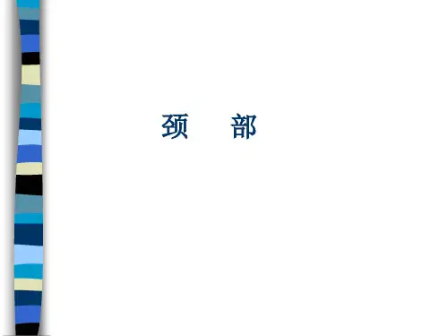 6.颈部软组织