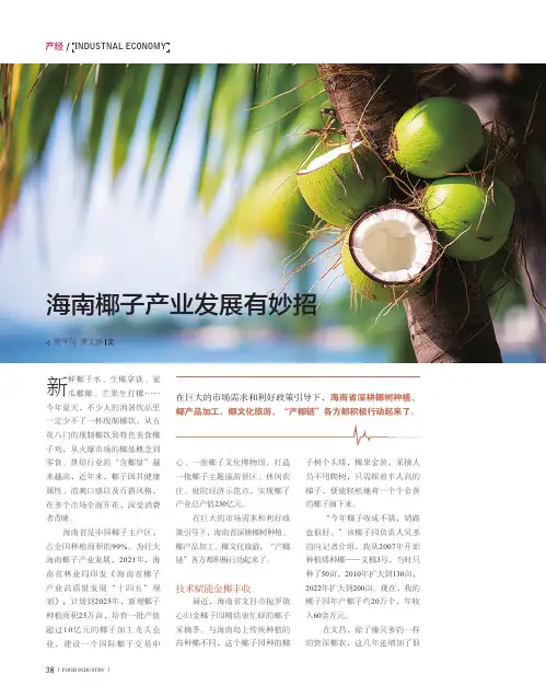 海南椰子产业发展有妙招