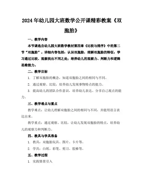 2024年幼儿园大班数学公开课精彩教案《双胞胎》