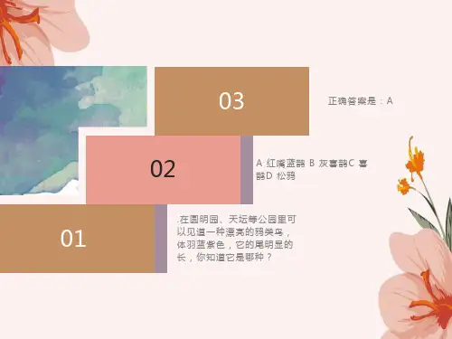 观鸟知识考试题目第二套