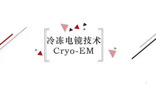 冷冻电镜技术PPT课件
