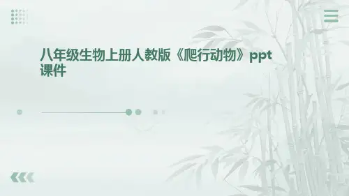 八年级生物上册人教版《爬行动物》ppt课件