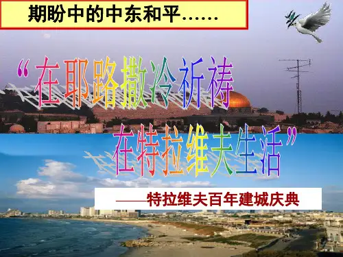 新人教版高中历史《曲折的中东和平进程》PPT精品课件1