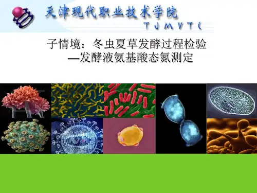 04-02-004教学课件—发酵液氨基酸态氮测定(精)