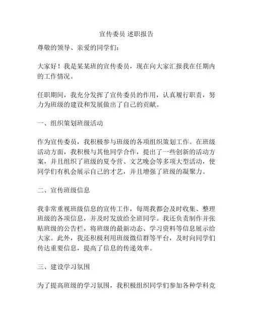 宣传委员 述职报告