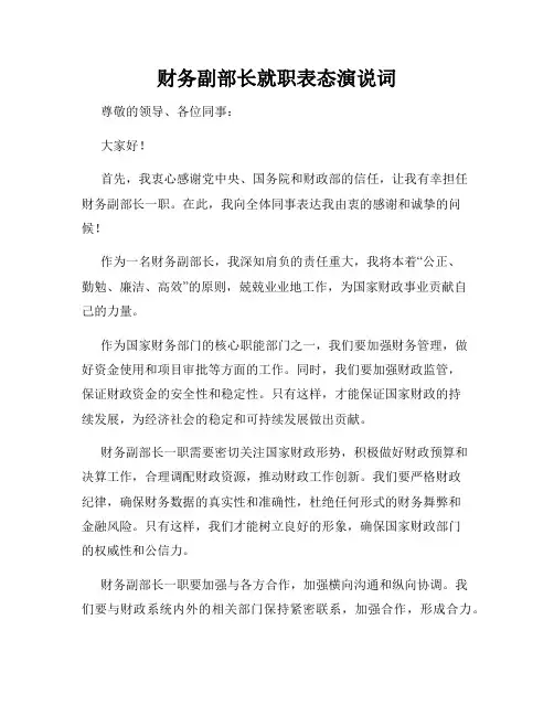 财务副部长就职表态演说词