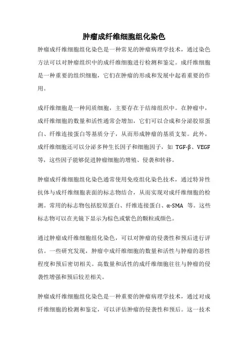 肿瘤成纤维细胞组化染色