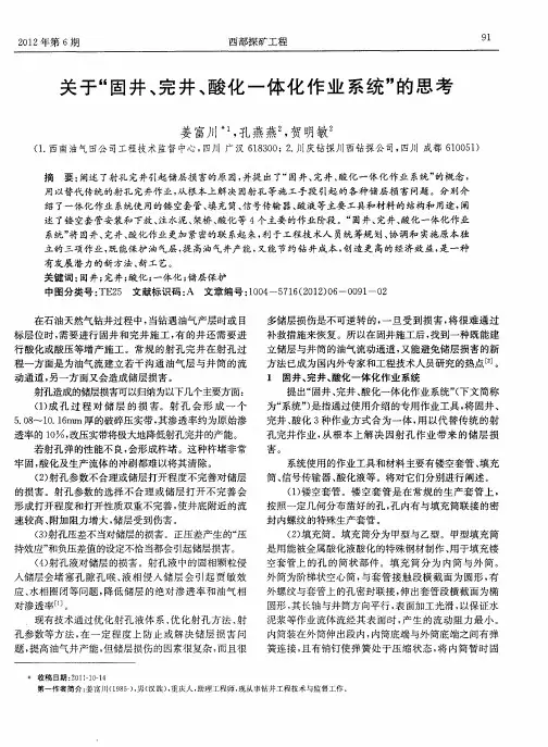 关于“固井、完井、酸化一体化作业系统”的思考