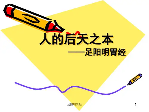 足阳明胃经ppt课件