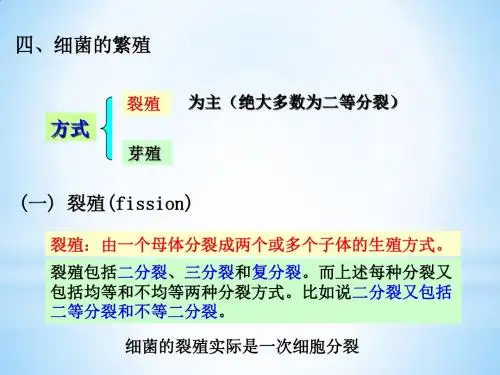 第二章 原核微生物c1