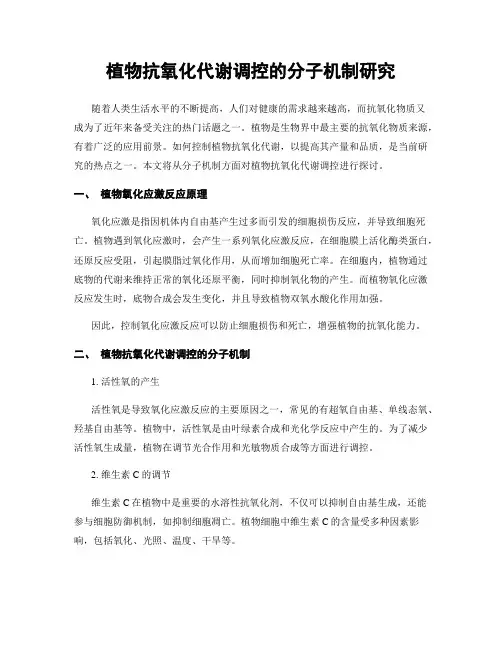 植物抗氧化代谢调控的分子机制研究