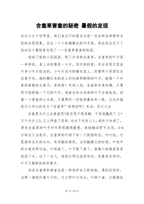 含羞草害羞的秘密 暑假的发现_初一作文