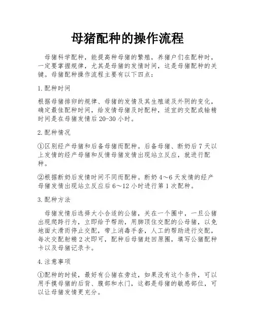 母猪配种的操作流程