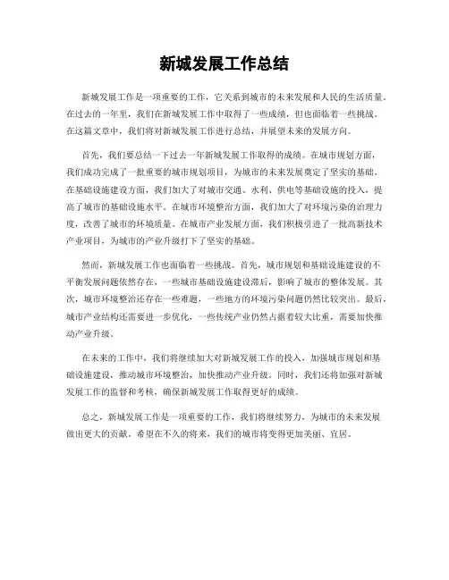 新城发展工作总结