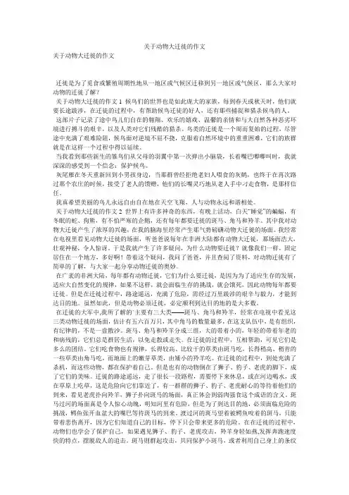 关于动物大迁徙的作文