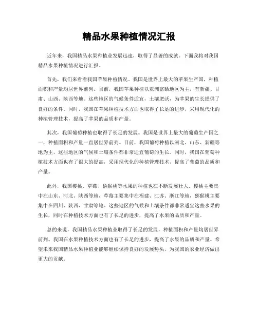 精品水果种植情况汇报