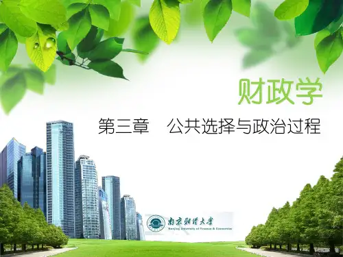 财政学 第三章 公共选择与政治过程