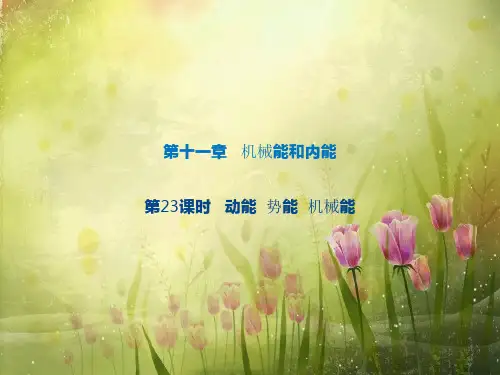 中考物理23动能、势能、机械能课件