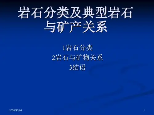 岩石分类及典型岩PPT教学课件