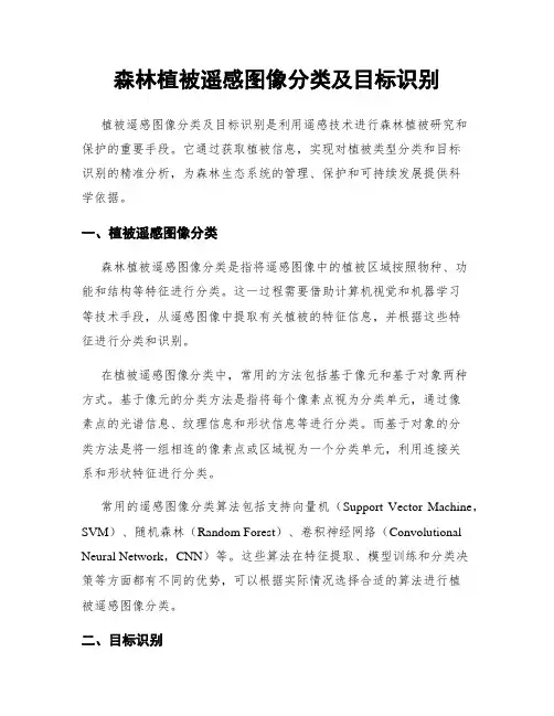 森林植被遥感图像分类及目标识别
