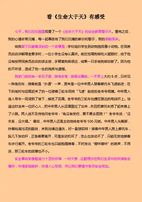 生命大于天