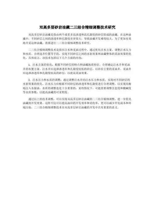 双高多层砂岩油藏二三结合精细调整技术研究