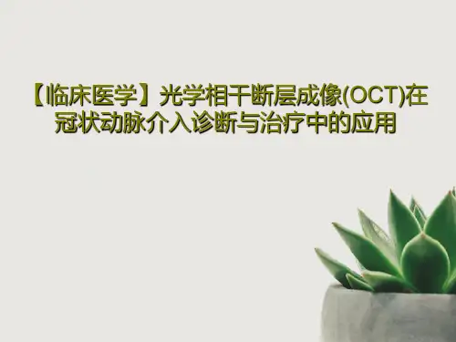【临床医学】光学相干断层成像(OCT)在冠状动脉介入诊断与治疗中的应用29页PPT