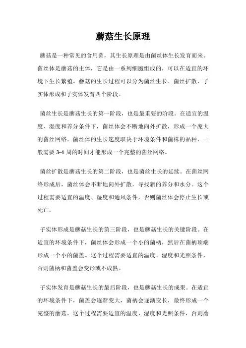 蘑菇生长原理