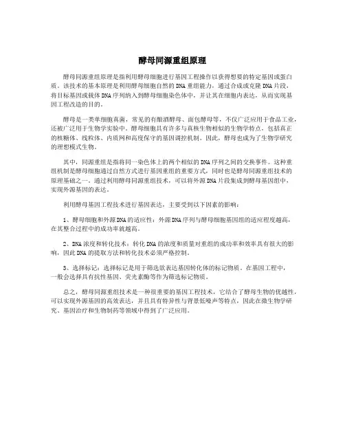 酵母同源重组原理