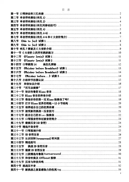超级BLUES(蓝调)口琴教程